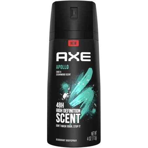 AXE DEODORANT BODY SPRAY PACK OF 6